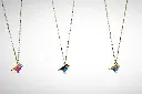 oiseau principale.webp