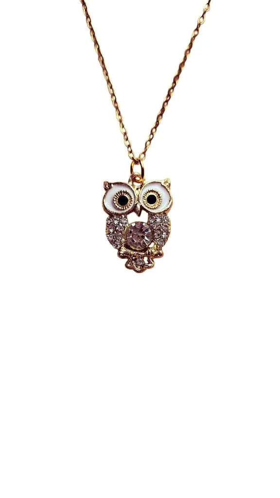 hibou1.webp
