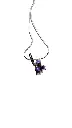violette2.webp