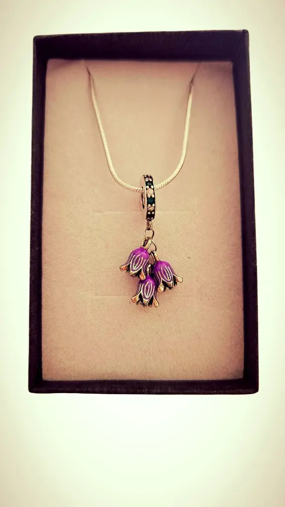 VIOLETTE3.webp