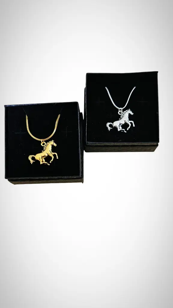 chevaux boites.webp