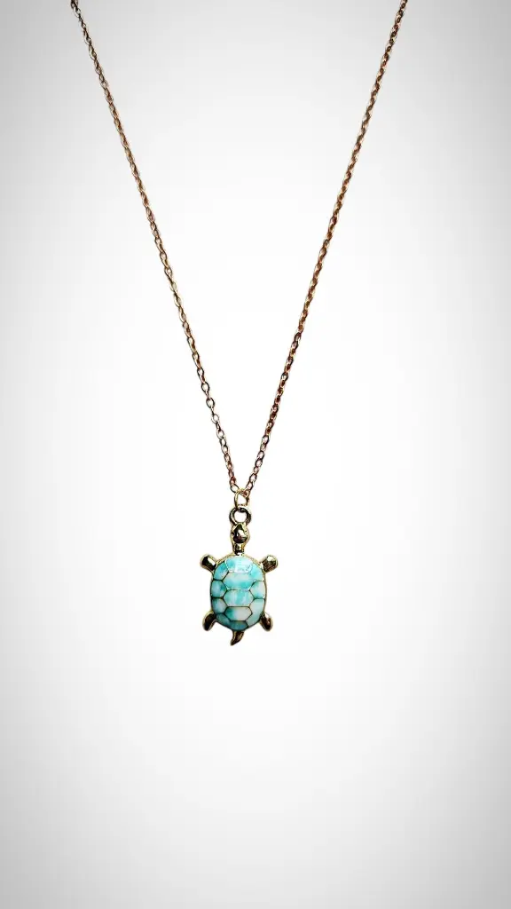 tortue bleue principale.webp