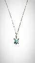 tortue bleue principale.webp