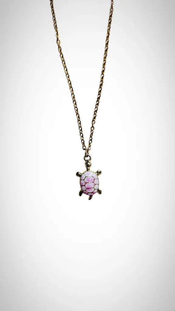 tortue rose principale.webp