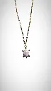 tortue rose principale.webp