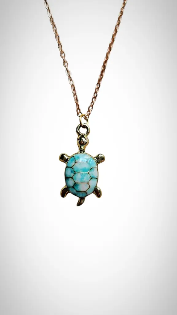 tortue bleue2.webp