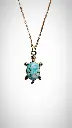 tortue bleue2.webp