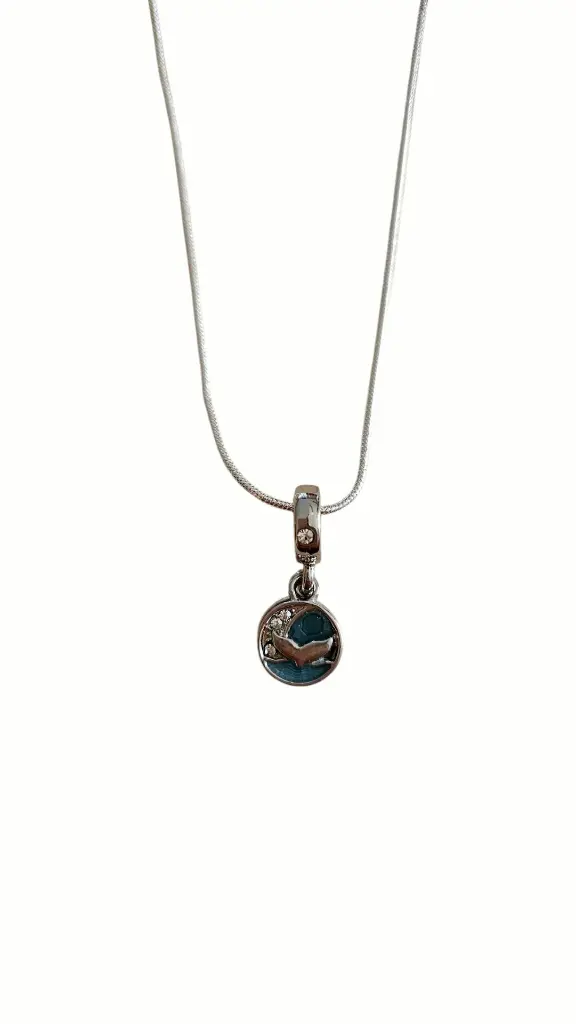 charms dauphin principale.webp